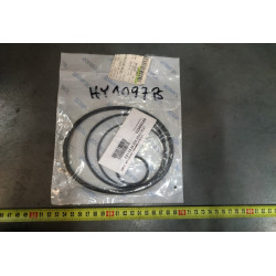 CM12   KIT ORING - 1624663 HYSTER, nr kat: 0