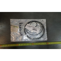 CM12   KIT ORING - 1624663 HYSTER, nr kat: 0